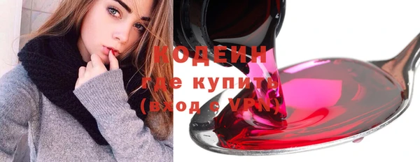 хмурый Алексин