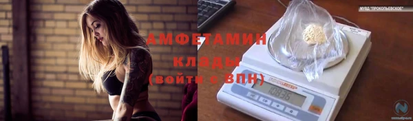 хмурый Алексин