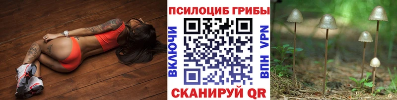 Псилоцибиновые грибы прущие грибы Новокубанск